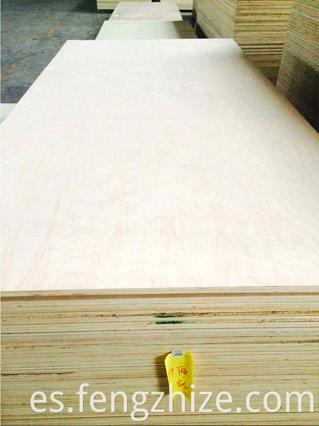 MAPLE FANCY PLYWOOD